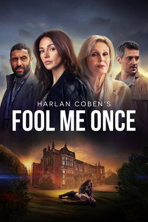 Limited Series poster