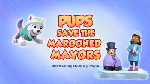 Pups Save the Marooned Mayors still