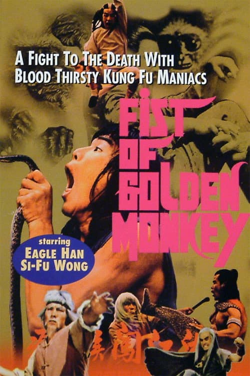 Fist of the Golden Monkey poster