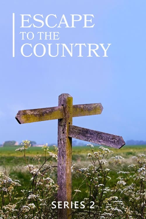 Series 2 poster