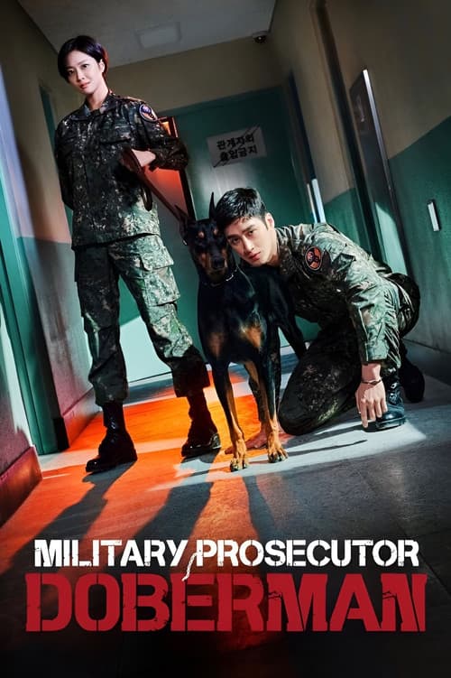 Limited Series poster