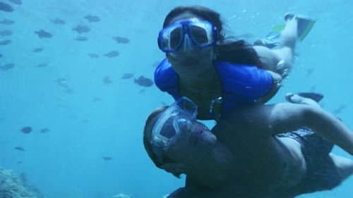 Dolphin Quest still