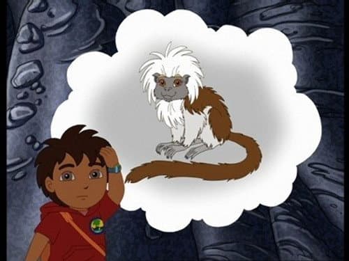 Cotton-Top Tamarin Cave Rescue still