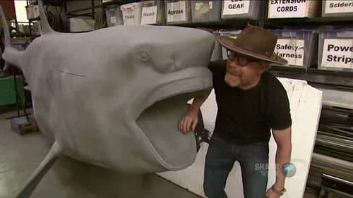 Shark Week Special still