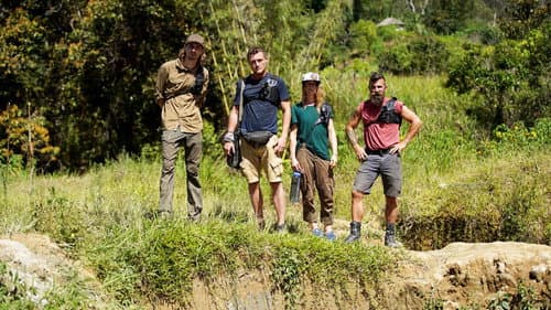 Hunt for Hidden Gold still