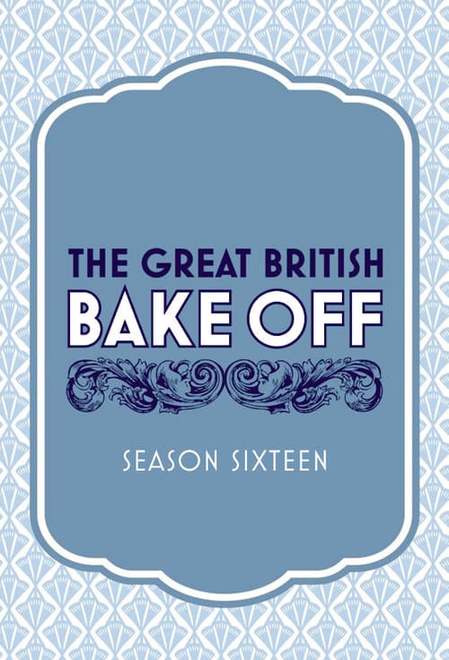 Series 16 poster