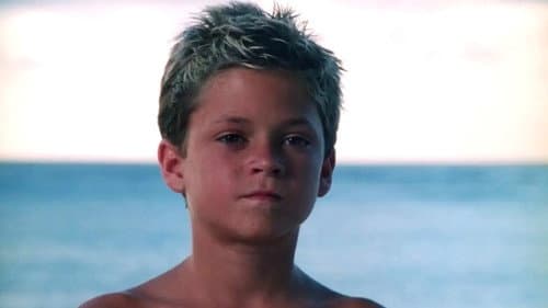 Shark Island still