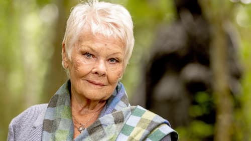 Dame Judi Dench still