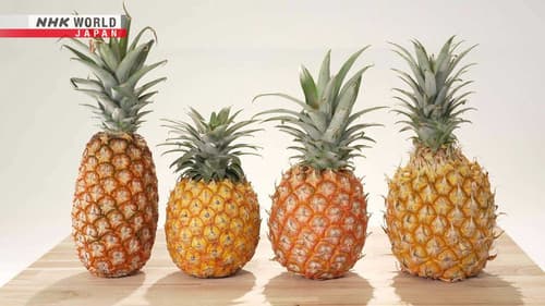 Pineapple still