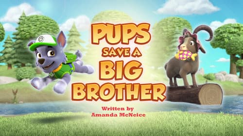 Pups Save a Big Brother still