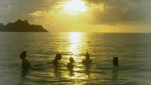 Surviving the Island still