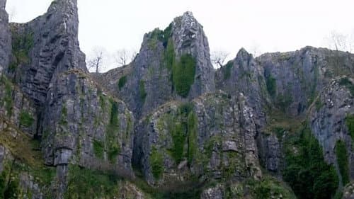 Mendips still