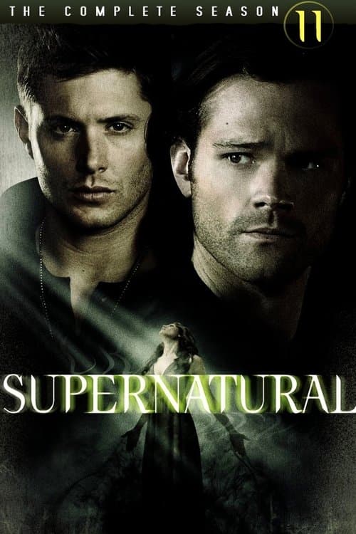 Season 11 poster