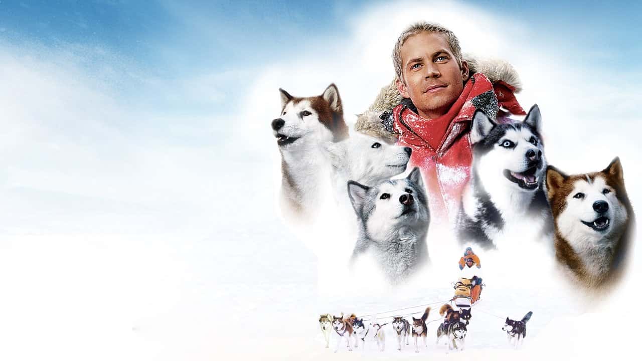 Eight Below backdrop