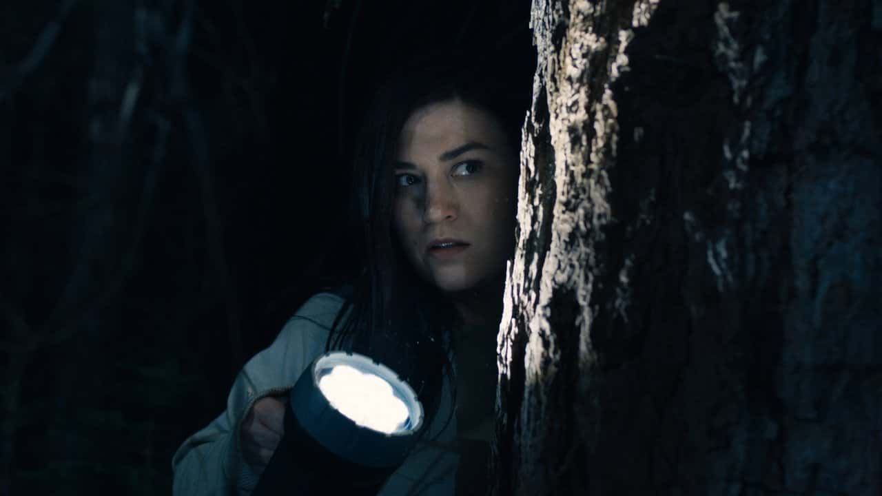 Stranger in the Woods backdrop