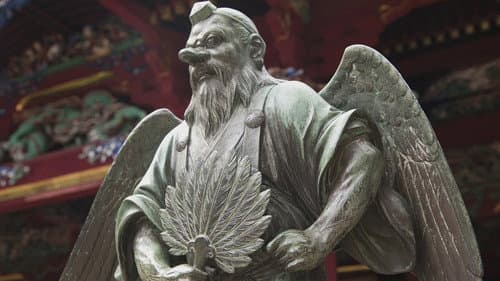 The Birdman Mystery still