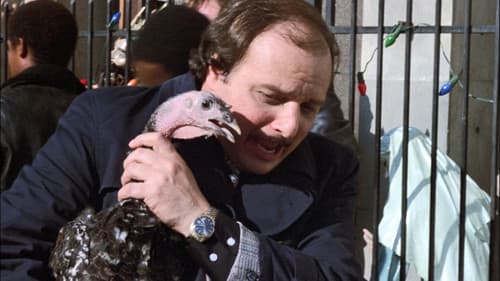 The Virgin and the Turkey still