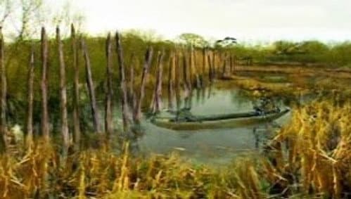 Bronze-Age Trackway - Greylake, Somerset still