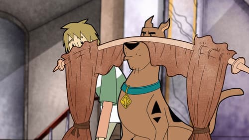 Zoinks the Wonder Dog still