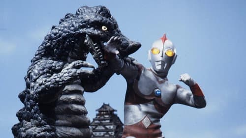 The Time Tunnel Shadow Warriors still