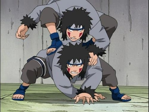 Akamaru Unleashed! Who's Top Dog Now? still