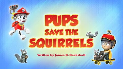 Pups Save the Squirrels still