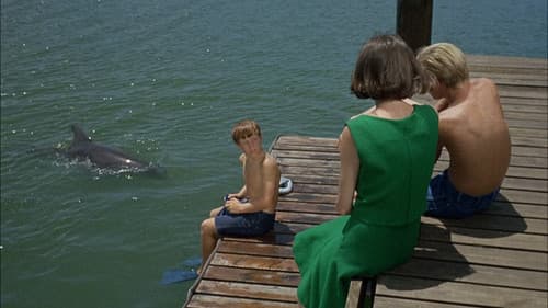Lady and the Dolphin (1) still