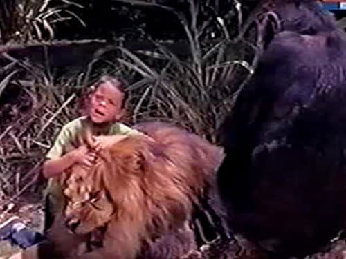 Clarence the Lionhearted still