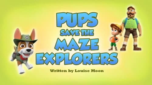 Pups Save the Maze Explorers still
