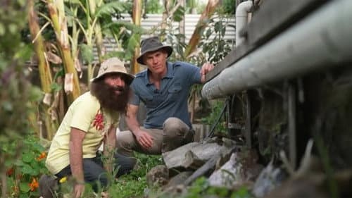Episode 36 Native Daisies, Sustainable Garden Design & Soil Science still