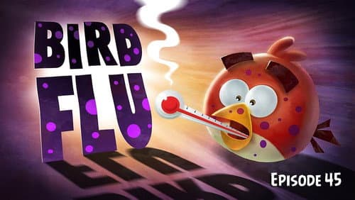Bird Flu still