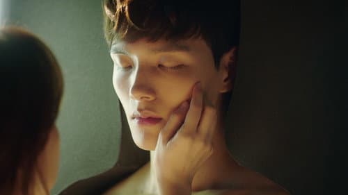 Don’t Fall in Love with Him still