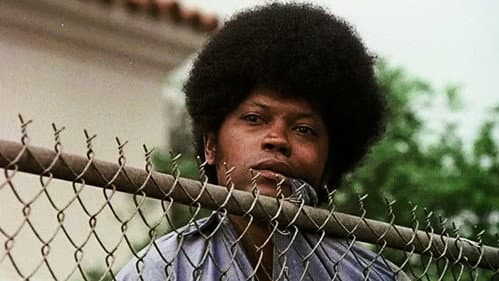Who Are the Keepers, Who Are the Inmates? still