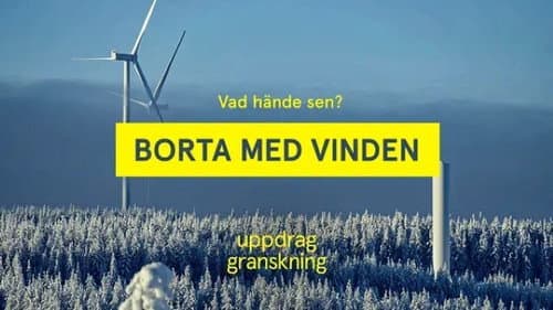 Den sista ålen still