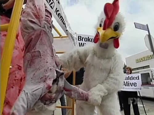 Animal Rights still