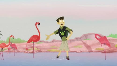 Mystery of the Flamingo's Pink still
