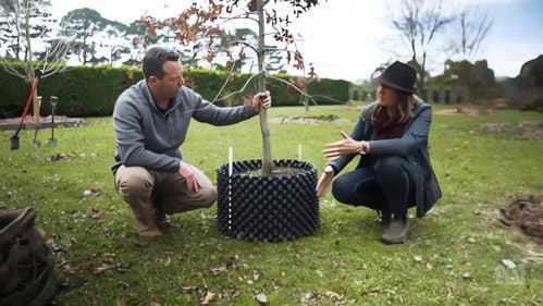 Episode 18 Planting Trees, Native Climbers & Kiwi Prune still