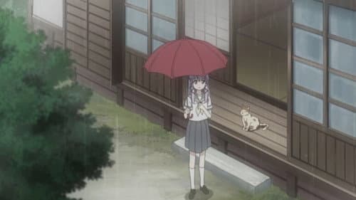 Rainy Rainy still