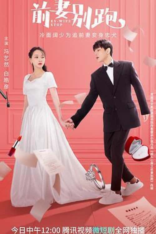 Ex-Wife Stop poster
