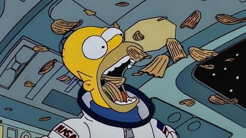 Deep Space Homer still