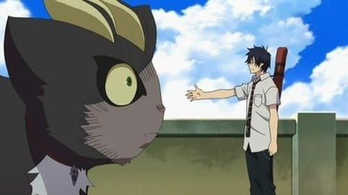 Black Cat still