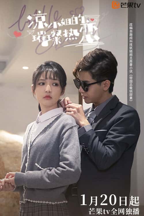 Miss Liang's Brilliant Love poster