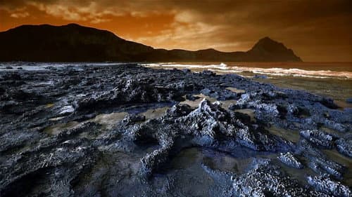 Life and Death on the Red Planet still