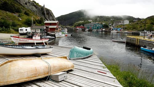 Newfoundland still