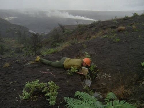 A Hawaiian Nightmare still