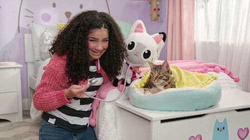 Kitty Fairy Gets Sick still