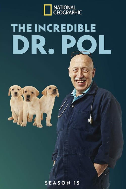Season 15 poster
