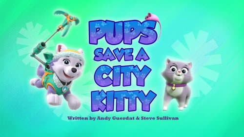 Pups Save a City Kitty still