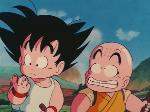 The Turtle Hermit Way still