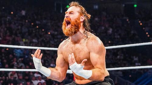Sami Zayn still